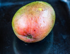 mango 027